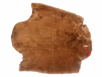 Sheared Beaver Skin: Bleached: Gallery Item 