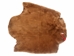 Sheared Beaver Skin: Bleached: Gallery Item - 50-55-G4484 (Y1E)