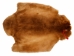 Sheared Beaver Skin: Dyed: Gallery Item - 50-55-G4485 (Y1LRE)