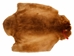 Sheared Beaver Skin: Dyed: Gallery Item - 50-55-G4485 (Y1E)