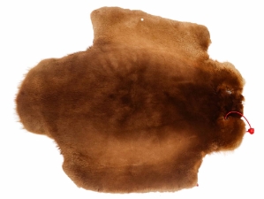 Sheared Beaver Skin: Dyed: Gallery Item 