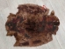 Sheared Beaver Skin: Dyed and Acid-Washed: Gallery Item - 50-55-G4487 (Y1LRE)