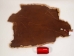 Sheared Beaver Skin: Dyed: Gallery Item - 50-55-G4489 (Y1LRE)