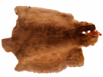 Sheared Beaver Skin: Dyed: Gallery Item 