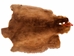 Sheared Beaver Skin: Dyed: Gallery Item - 50-55-G4489 (Y1E)