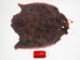 Sheared Beaver Skin: Dyed and Acid-Washed: Gallery Item - 50-55-G4490 (Y1LRE)