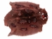 Sheared Beaver Skin: Dyed and Acid-Washed: Gallery Item - 50-55-G4490 (Y1LRE)