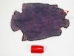 Sheared Beaver Skin: Dyed: Gallery Item - 50-55-G4491 (Y1L)