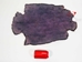 Sheared Beaver Skin: Dyed: Gallery Item - 50-55-G4491 (Y1E)