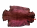 Sheared Beaver Skin: Dyed: Gallery Item - 50-55-G4491 (Y1L)