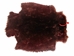 Sheared Beaver Skin: Dyed and Acid-Washed: Gallery Item - 50-55-G4492 (Y1E)