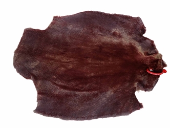 Sheared Beaver Skin: Dyed: Gallery Item 
