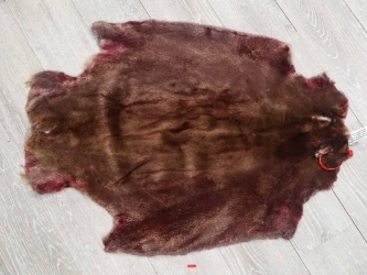 Sheared Beaver Skin: Dyed: Gallery Item 