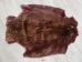 Sheared Beaver Skin: Dyed: Gallery Item - 50-55-G4495 (Y1LRE)