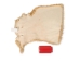 Partial Sheared Beaver Skin: Bleached: Gallery Item - 50-55-G4497 (Y1LRB)