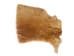 Partial Sheared Beaver Skin: Bleached: Gallery Item - 50-55-G4497 (Y1LRB)