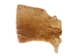 Partial Sheared Beaver Skin: Bleached: Gallery Item - 50-55-G4497 (Y1E)