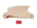 Partial Beaver Skin: Bleached: Gallery Item - 50-55-G4498 (Y1LRB)