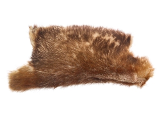 Partial Beaver Skin: Bleached: Gallery Item 