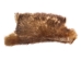 Partial Beaver Skin: Bleached: Gallery Item - 50-55-G4498 (Y1LRB)