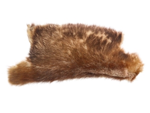 Partial Beaver Skin: Bleached: Gallery Item 