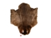 Sheared Beaver Skin: Craft: Gallery Item - 50-55-G6400 (Y1LRE)