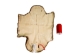 Sheared Beaver Skin: Craft: Gallery Item - 50-55-G6402 (Y1LRE)
