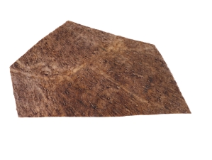 Moose Antler Palm: Piece: Gallery Item 