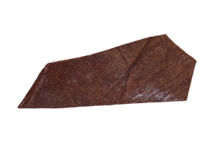 Moose Antler Palm: Piece: Gallery Item 