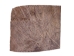 Moose Antler Palm: Piece: Gallery Item - 513-PC-G4438 (Y3HRM)