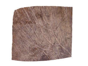 Moose Antler Palm: Piece: Gallery Item 