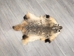 North American Badger Skin: Trading Post Grade: Gallery Item - 52-TP-A-G4845 (Y2D)