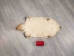 North American Badger Skin: Trading Post Grade: Gallery Item - 52-TP-A-G4846 (Y2D)