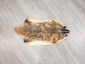 North American Badger Skin: Trading Post Grade: Gallery Item 