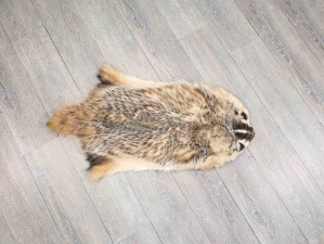 North American Badger Skin: Trading Post Grade: Gallery Item 