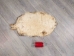 North American Badger Skin: Trading Post Grade: Gallery Item - 52-TP-A-G4849 (Y2EWR)
