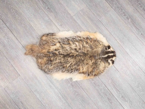 North American Badger Skin: Trading Post Grade: Gallery Item 