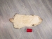 North American Badger Skin: Trading Post Grade: Gallery Item - 52-TP-A-G4850 (Y2EWR)