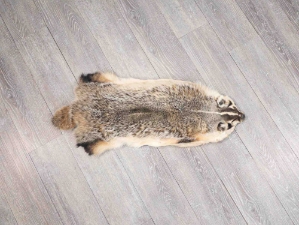 North American Badger Skin: Trading Post Grade: Gallery Item 