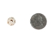 Etched Round Bone Bead: Style E: ~0.5" (100 pcs) - 520-E-C (Y2DC02)
