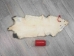 Longer North American Opossum Skin: Gallery Item - 527-G4664 (Y1KWR)