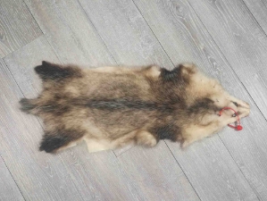 Longer North American Opossum Skin: Gallery Item 