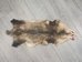 Longer North American Opossum Skin: Gallery Item - 527-G4664 (Y1G)