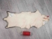 Longer North American Opossum Skin: Gallery Item - 527-G4665 (Y1KWR)