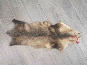 Longer North American Opossum Skin: Gallery Item 