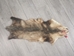 Longer North American Opossum Skin: Gallery Item - 527-G4665 (Y1G)