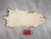 Longer North American Opossum Skin: Gallery Item - 527-G4666 (Y1KWR)