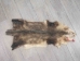 Longer North American Opossum Skin: Gallery Item - 527-G4666 (Y1KWR)