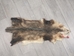 Longer North American Opossum Skin: Gallery Item - 527-G4666 (9UZ)
