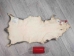 Longer North American Opossum Skin: Gallery Item - 527-G4667 (Y1KWR)
